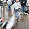 Long Range Fishing Photos : Long Rang trips out of San Diego, Ca. Here are some photos from My trips or photos from the docks of returning trips.